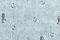 Makario Jolly 3513-3
