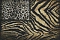 Emiliana Parati Roberto Cavalli №8 19101