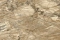 Emiliana Parati Carrara 4 86601