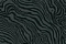 Emiliana Parati Roberto Cavalli 6 17214