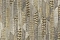 Emiliana Parati Roberto Cavalli №8 19065