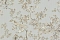 Emiliana Parati Roberto Cavalli №8 19047