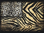 Emiliana Parati Roberto Cavalli №8 19102