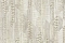 Emiliana Parati Roberto Cavalli №8 19069