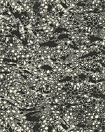 Emiliana Parati Roberto Cavalli №8 19036