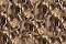 Emiliana Parati Roberto Cavalli №9 21107