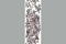 Emiliana Parati Roberto Cavalli 4 12066