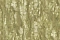 Emiliana Parati Carrara 4 86640