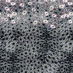 Emiliana Parati Roberto Cavalli 6 17208