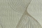Wallpaper Eclectic 3212-4