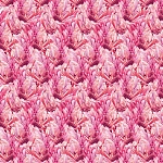 Emiliana Parati Roberto Cavalli №9 21101
