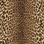 Emiliana Parati Roberto Cavalli №9 21041