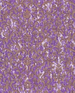 Emiliana Parati Roberto Cavalli 4 15039