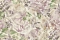 Emiliana Parati Blumarine №5 29001BM