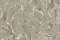 Emiliana Parati Carrara 4 86618