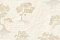 Solo Canto 8062-8