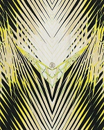 Emiliana Parati Roberto Cavalli 6 17002