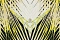 Emiliana Parati Roberto Cavalli 6 17002