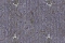 Emiliana Parati Valentin Yudashkin Limited Edition 84022